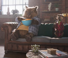 Compare The Market ‘Leak’