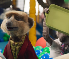 Compare the Market ‘Soft Play’